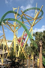 Cheetah Hunt