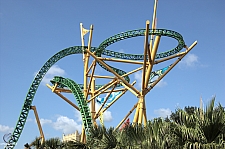 Cheetah Hunt