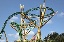 Cheetah Hunt