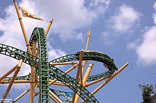 Cheetah Hunt