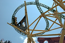 Cheetah Hunt