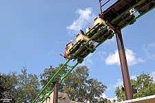 Cheetah Hunt