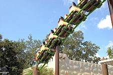 Cheetah Hunt