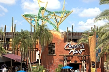 Cheetah Hunt