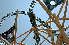 Cheetah Hunt