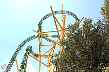 Cheetah Hunt