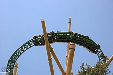 Cheetah Hunt