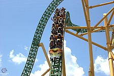 Cheetah Hunt