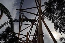 Cheetah Hunt