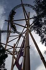 Cheetah Hunt