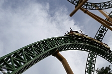 Cheetah Hunt