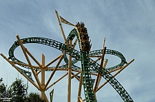 Cheetah Hunt