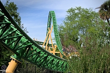 Cheetah Hunt