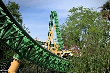 Cheetah Hunt