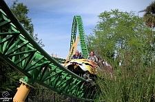 Cheetah Hunt