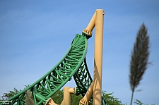 Cheetah Hunt