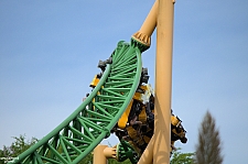 Cheetah Hunt