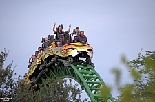 Cheetah Hunt