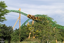 Cheetah Hunt