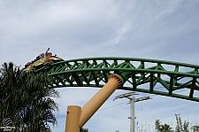 Cheetah Hunt