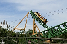 Cheetah Hunt