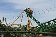 Cheetah Hunt