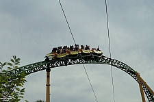 Cheetah Hunt