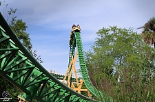 Cheetah Hunt