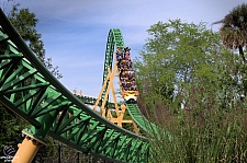 Cheetah Hunt