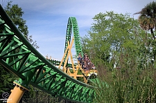 Cheetah Hunt