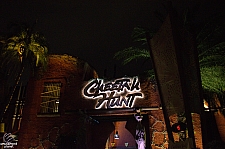 Cheetah Hunt