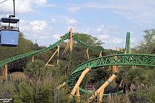 Cheetah Hunt