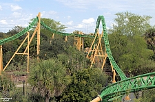 Cheetah Hunt