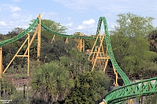 Cheetah Hunt