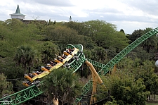 Cheetah Hunt