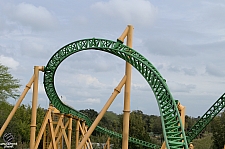 Cheetah Hunt