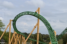 Cheetah Hunt