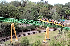 Cheetah Hunt