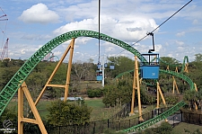 Cheetah Hunt