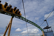 Cheetah Hunt