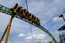 Cheetah Hunt