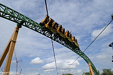 Cheetah Hunt