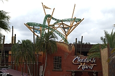 Cheetah Hunt