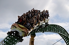 Cheetah Hunt