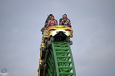 Cheetah Hunt