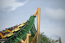 Cheetah Hunt