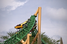 Cheetah Hunt