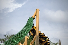 Cheetah Hunt