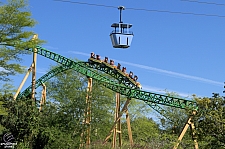 Cheetah Hunt