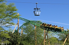 Cheetah Hunt